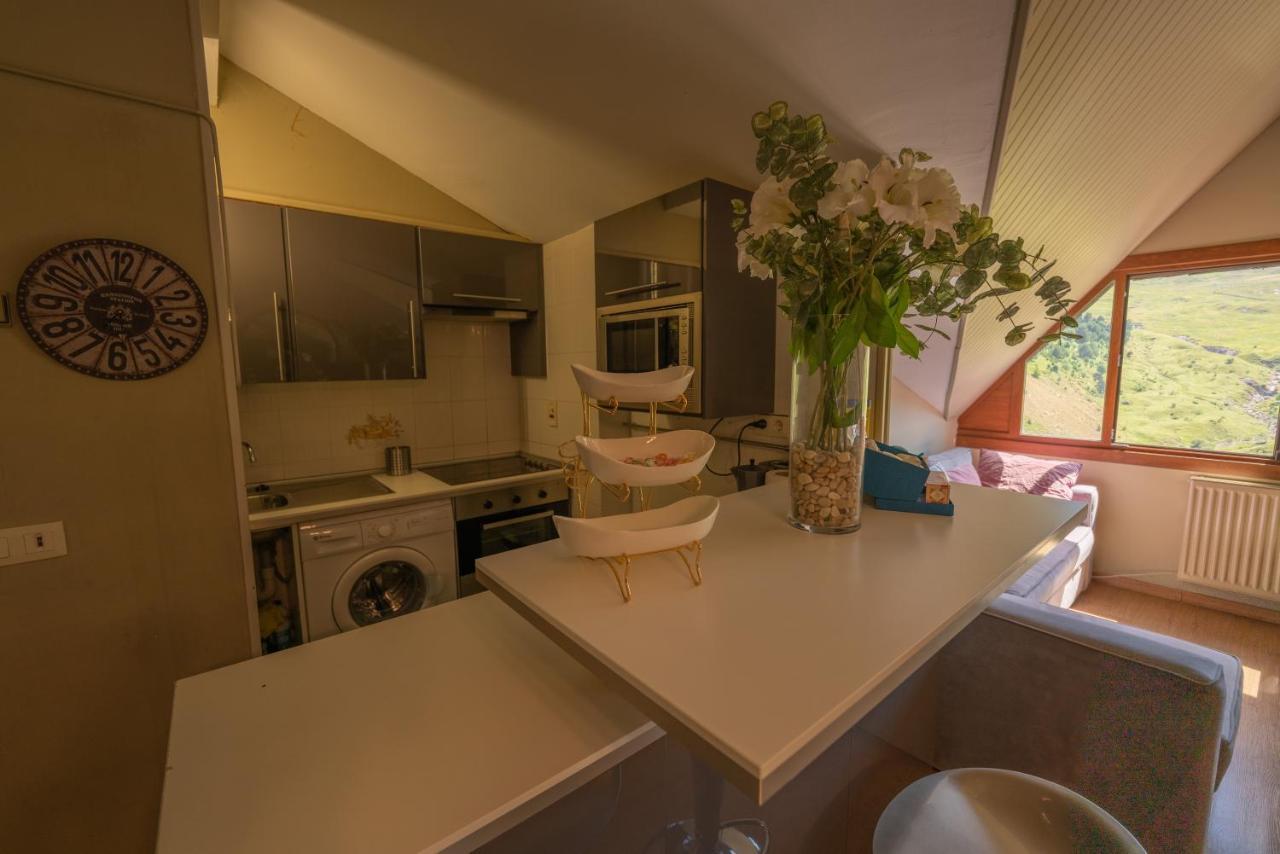 Apartment Apartamentos Formigal *
