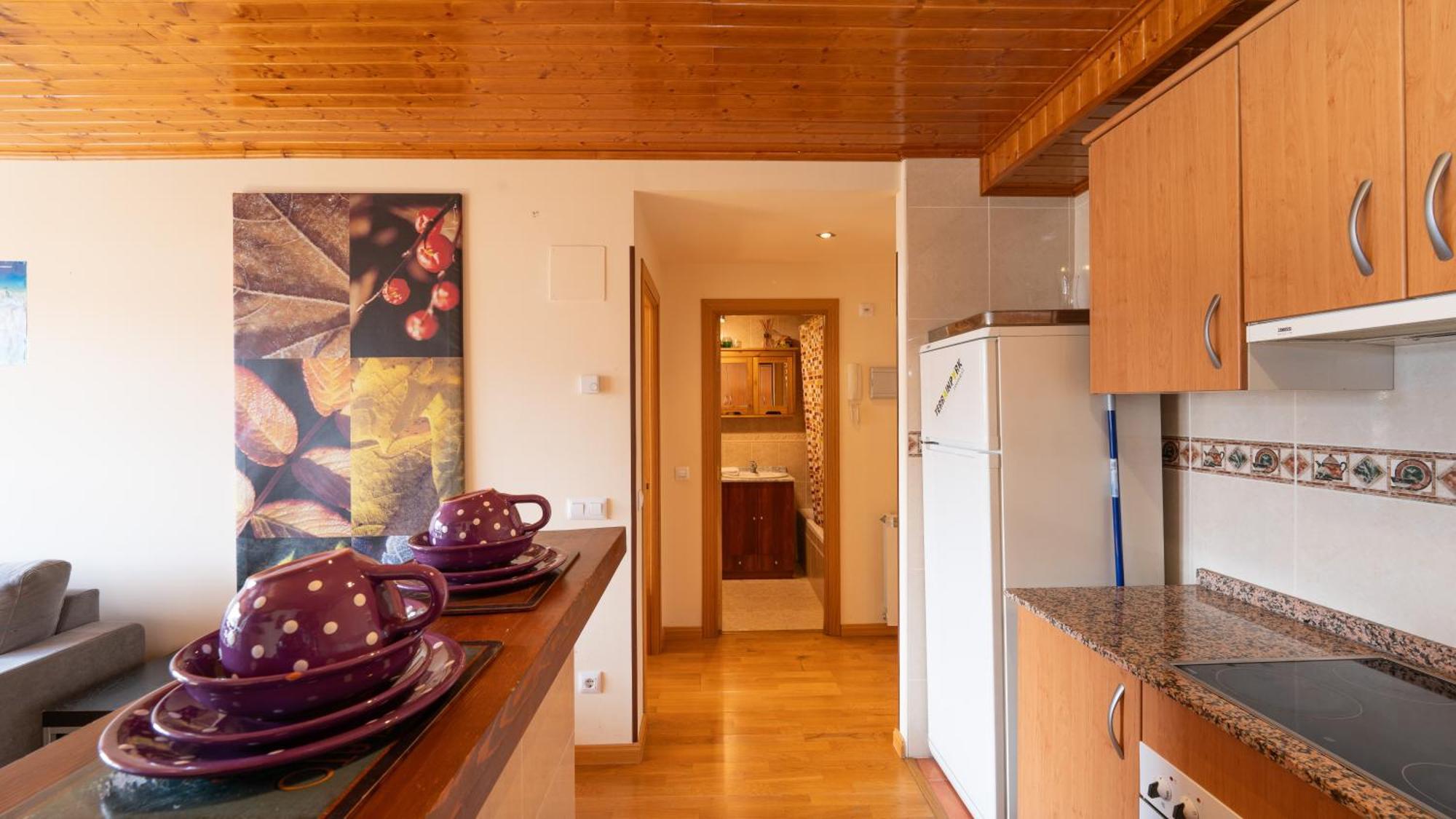 Apartamentos Formigal Apartment *